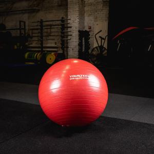 Купить Гимнастический мяч Yousteel Hard 55см в Ангарске 